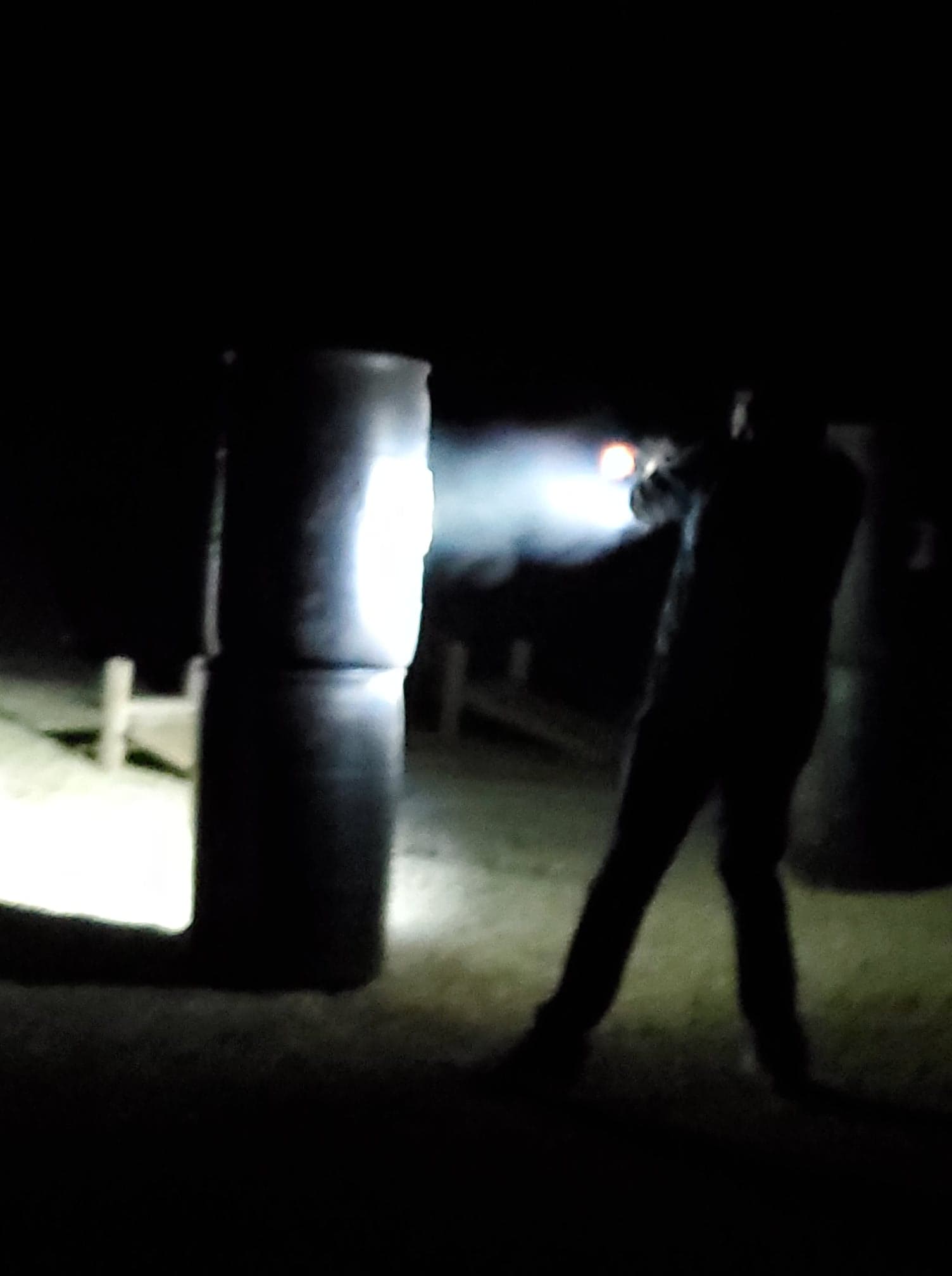 Leupold DeltaPoint Pro