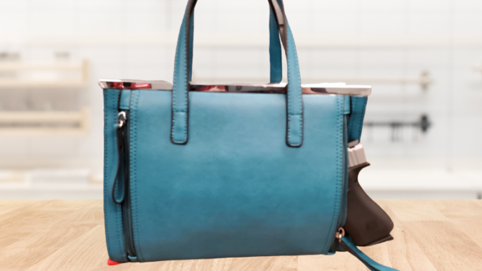 Conceal Purse 1