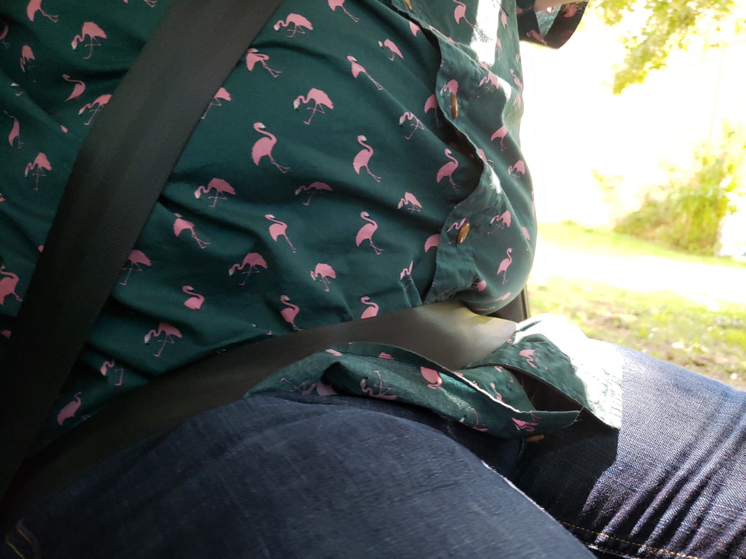 car holster