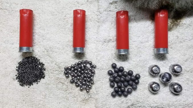 shotgun ammunition shotgun ammunition