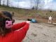 New shooter