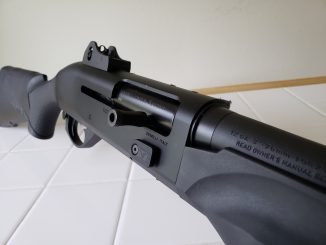 Shotgun Sights
