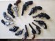 Revolver Reliability