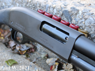 Blue Line Pump Shotgun Initial Impressions [2021] ⋆ Primer Peak