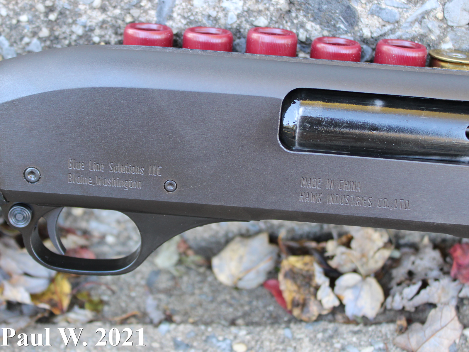 Blue Line Pump Rollmark