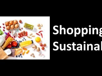 shopping sustainably