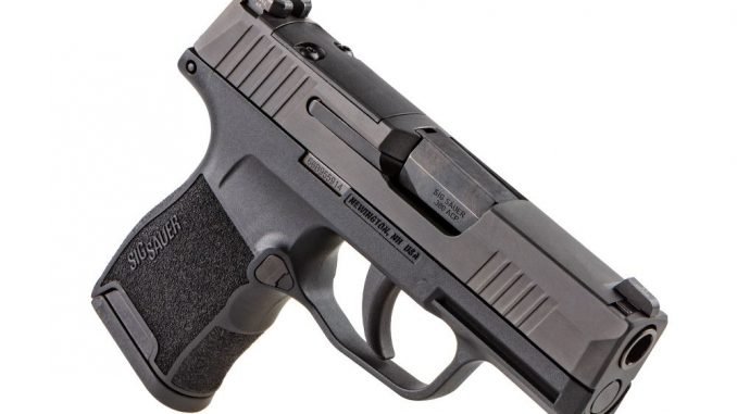 sig sauer p365 380