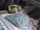Car Camping Featured Image