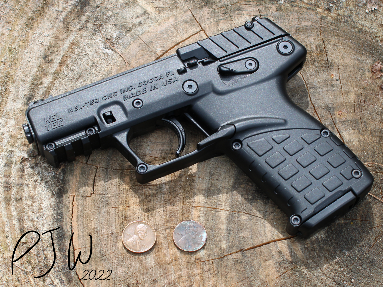 KelTec P17 Two Cents