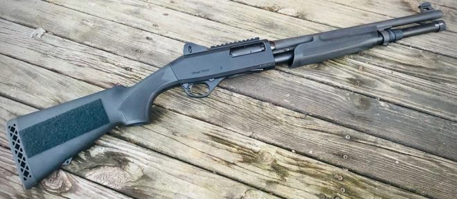 That shotgun blog favorite gun blog stoeger