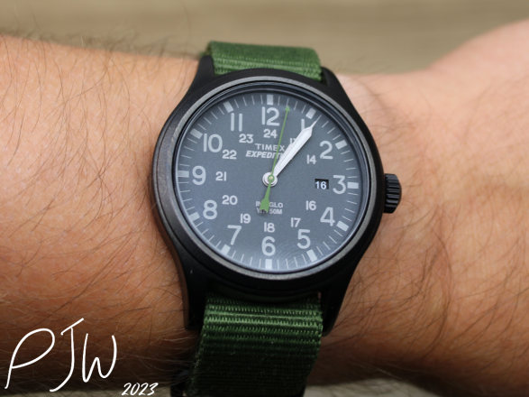 Timex Expedition Scout 40 On The Wrist