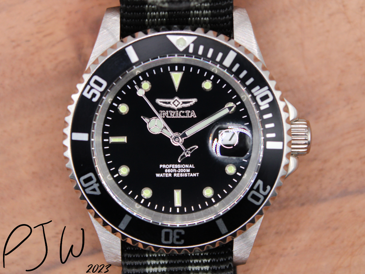 Pro Diver Dial 1