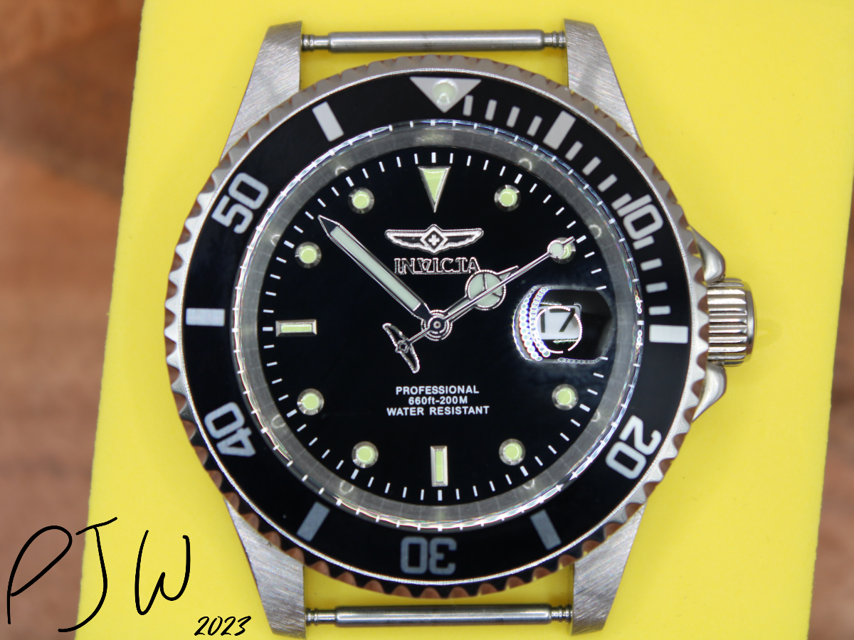 Pro Diver Dial 2