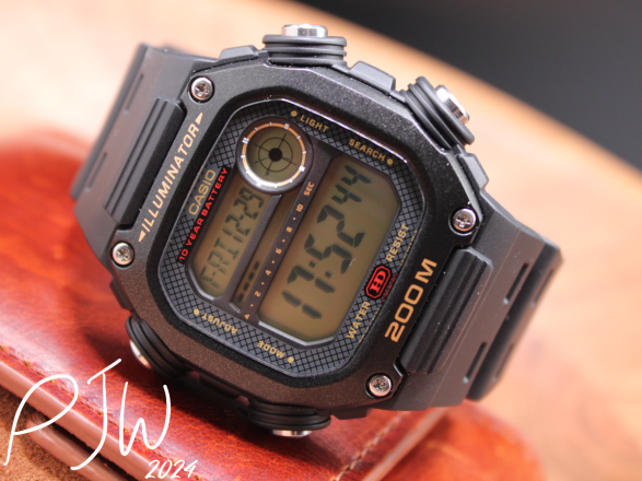 Casio DW-291H