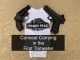 Conceal carry carrying during pregnancy while pregnant first trimester