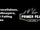 nitrocellulose soothsayers and falling skies ammo shortage