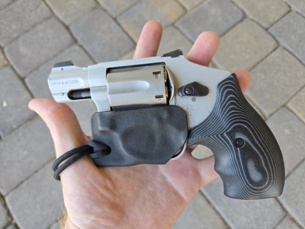 Purse conceal carry 