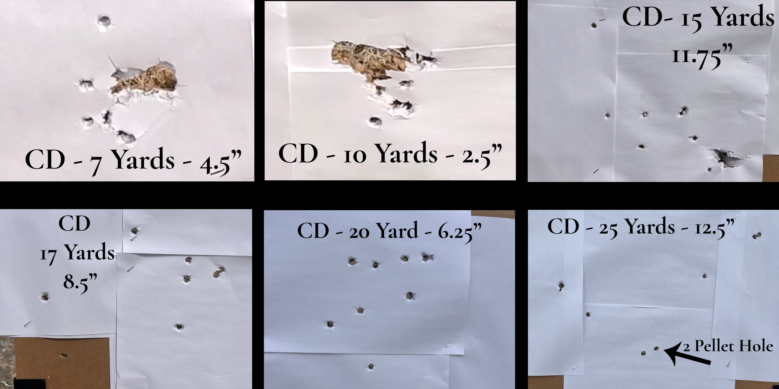 Critical Defense Patterning Collage