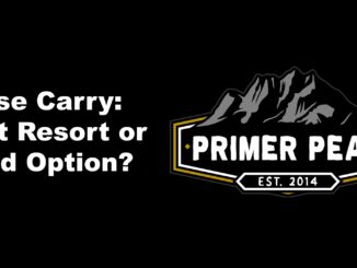 purse carry conceal carry