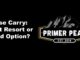 purse carry conceal carry