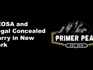 leosa and conceal carry in new york city