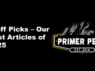 staff picks our best articles of 2025