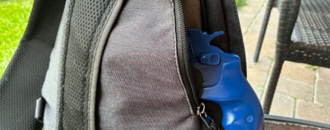 Purse conceal carry