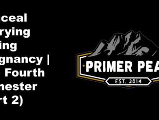 conceal carry pregnant pregnancy fourth trimester